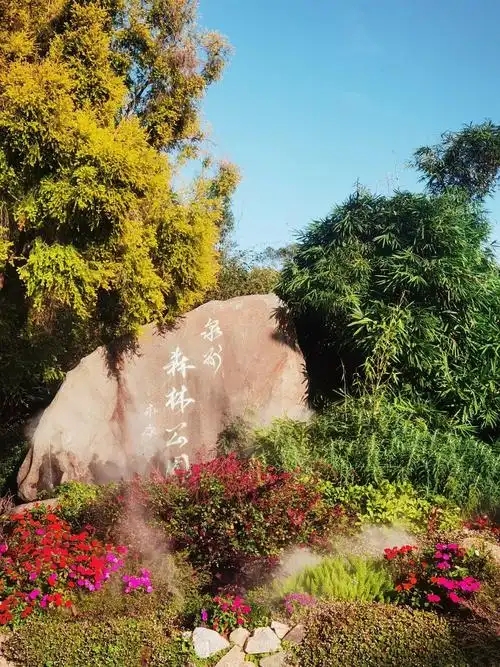 泉州森林公园智能导览系统——小泥人赋能，解锁都市绿野仙踪