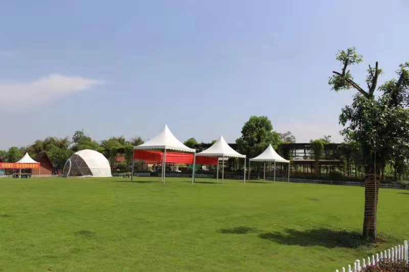 微信公众号代营